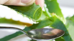 green plant and spoon